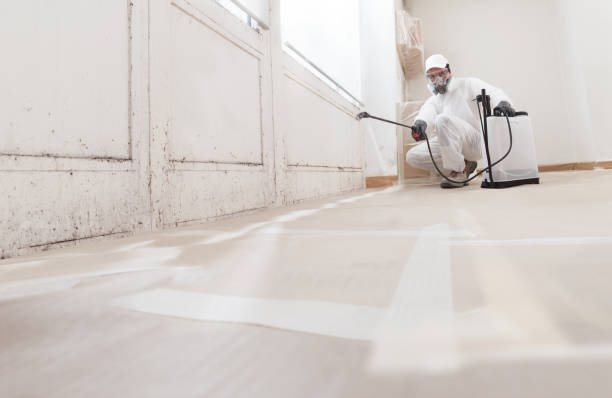 24/7 Emergency Basement Mold Remediation experts in Hollywood, MD